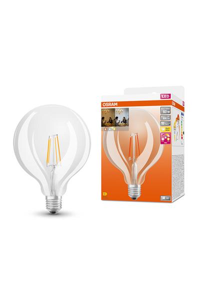 Osram G125 | GlowDim | Filament E27 LED-lamput 60W (Pallo, Himmennettävä)
