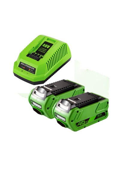 BO-GREENWORKS-40V-4A-X2-CH batteri (3000 mAh 40 V)