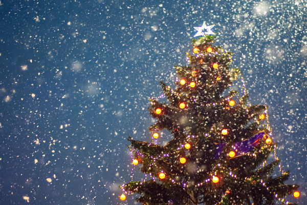  Vianočný stromček s osvetlením
